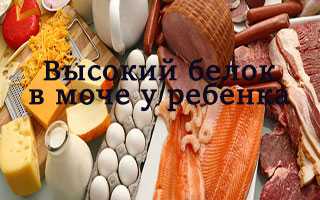 Белок в моче у ребенка – норма. Повышенный белок в моче у ребенка – причины, лечение