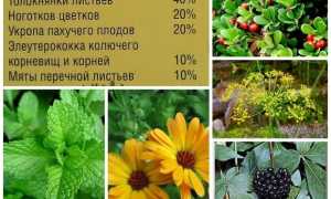 Урологический сбор инструкция по применению