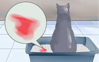 Утолщение стенок мочевого пузыря причины лечение