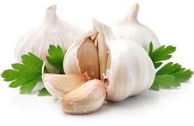 -как вылечить заложенность носа в домашних условиях