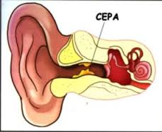 вымыть пробку из уха дома