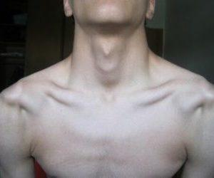 Что такое кадык и зачем он нужен