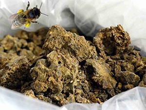 Как делать ингаляции с прополисом