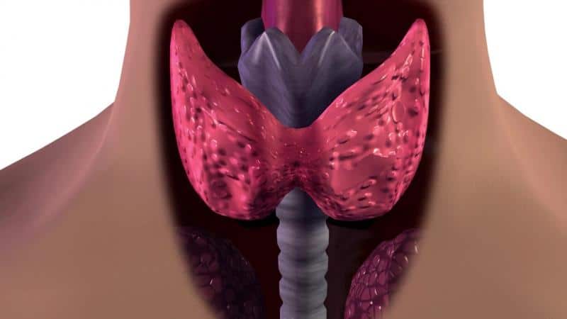 Как избавиться от кома в горле?