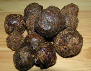 Как принимать настойку прополиса при кашле?