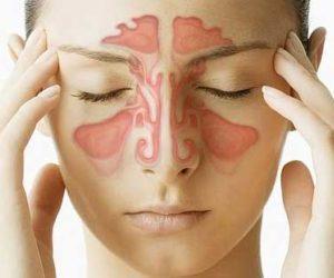 Как выглядит верхнечелюстная пазуха?