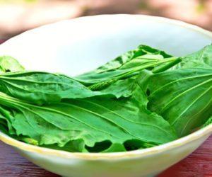 Как заварить подорожник от кашля для детей