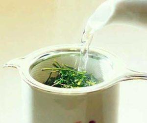 Как заварить подорожник от кашля для детей