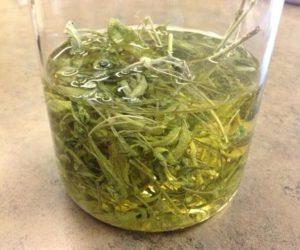 Как заваривать шалфей от кашля?