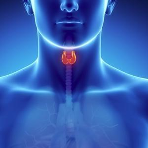 Лечение зоба щитовидной железы