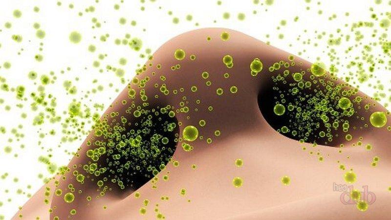 тафен назаль при беременности на ранних сроках