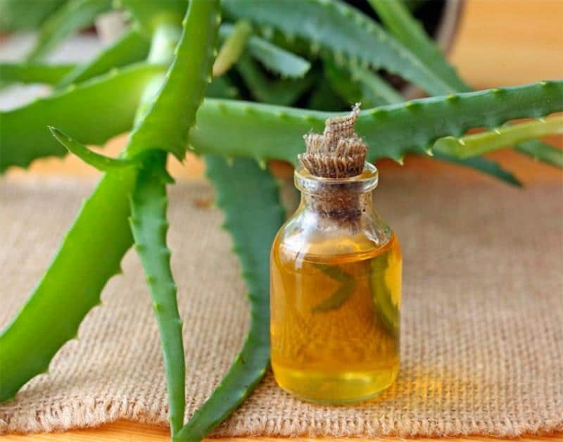 можно ли капать алоэ при беременности