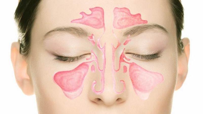 носовые пазухи