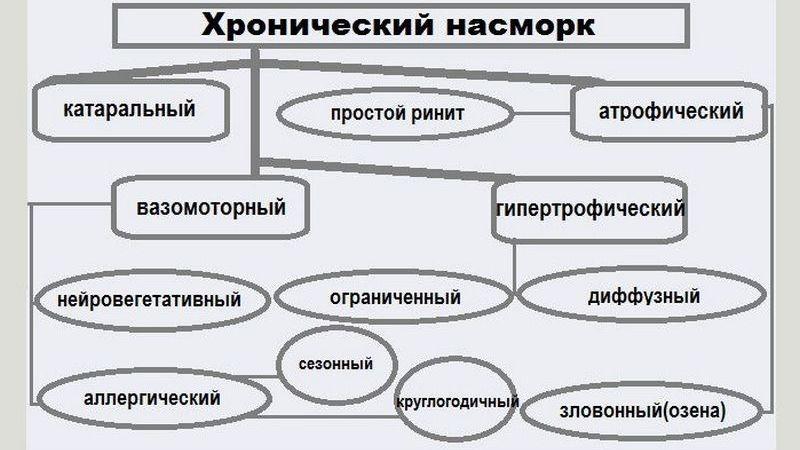 какие бывают болезни носа