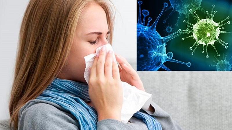 что такое вирусный ринит