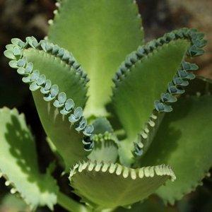 совсем не дышит нос