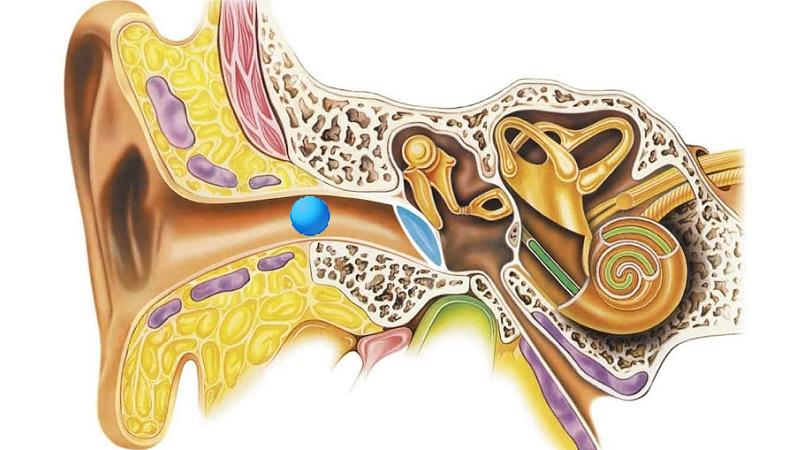 шевеление в ухе причины