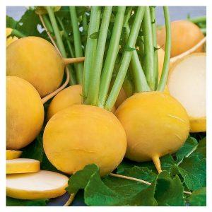 народные средства от влажного кашля для детей