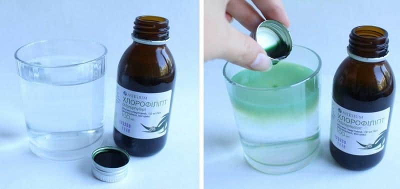 хлорофиллипт можно ли капать в нос