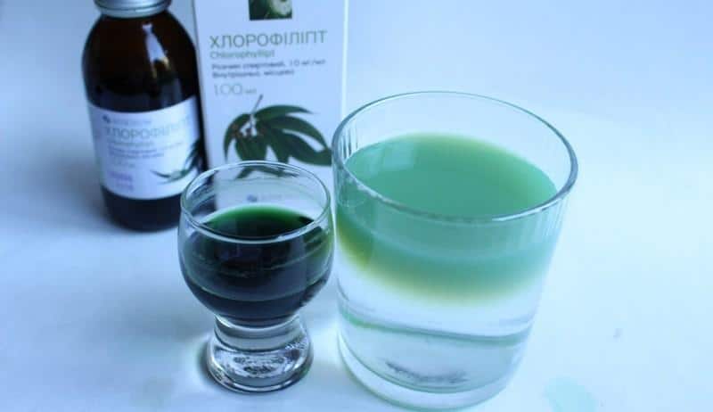 хлорофиллипт масляный
