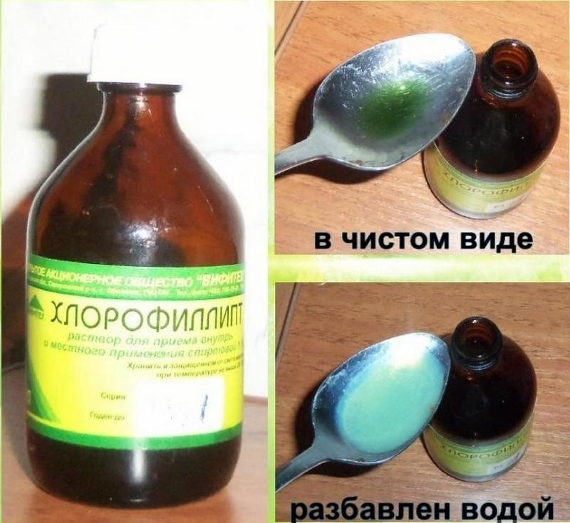 хлорофиллипт масляный при беременности для полоскания