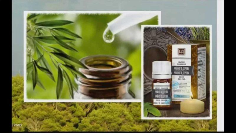 масло чайного дерева в нос ребенку