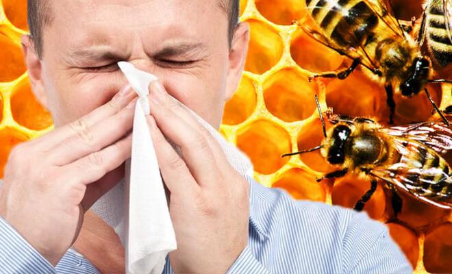 как лечить гайморит прополисом