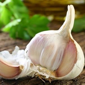 что такое пристеночный гайморит