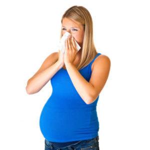 каланхоэ при беременности