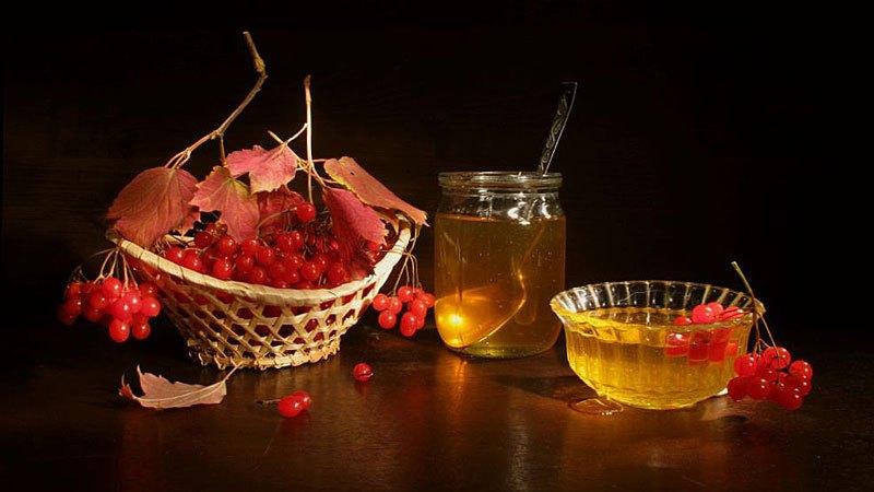 отвар калины от кашля