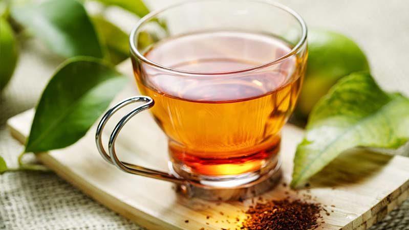 какие травы помогают при гайморите