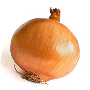 -гнойный насморк с запахом