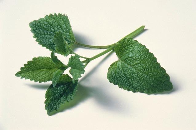 старческая тугоухость лечение-4