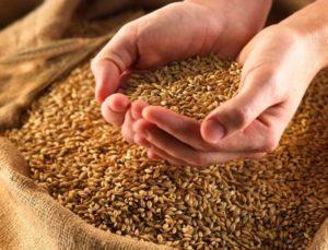 народны средства при отите у взрослых