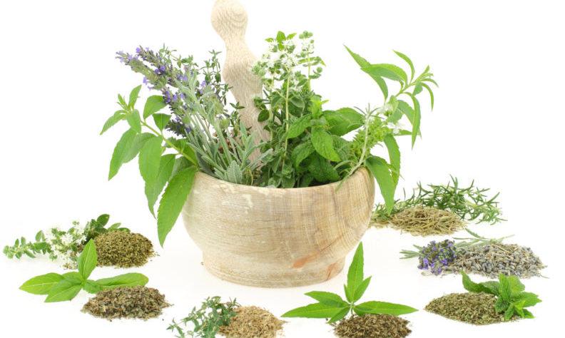 отит симптомы у взрослых лечение народными средствами