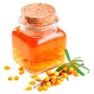 Как лечить кашель облепиховым маслом