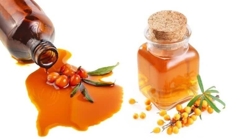 Как лечить горло облепиховым маслом