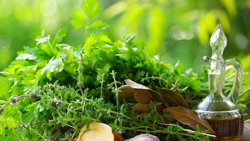 лекарства на травах от кашля