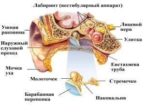 Что делать если шумит в ушах.
