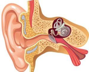 почему щелкает в ухе при глотании
