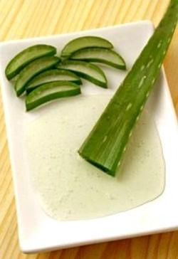 алоэ от боли в ухе