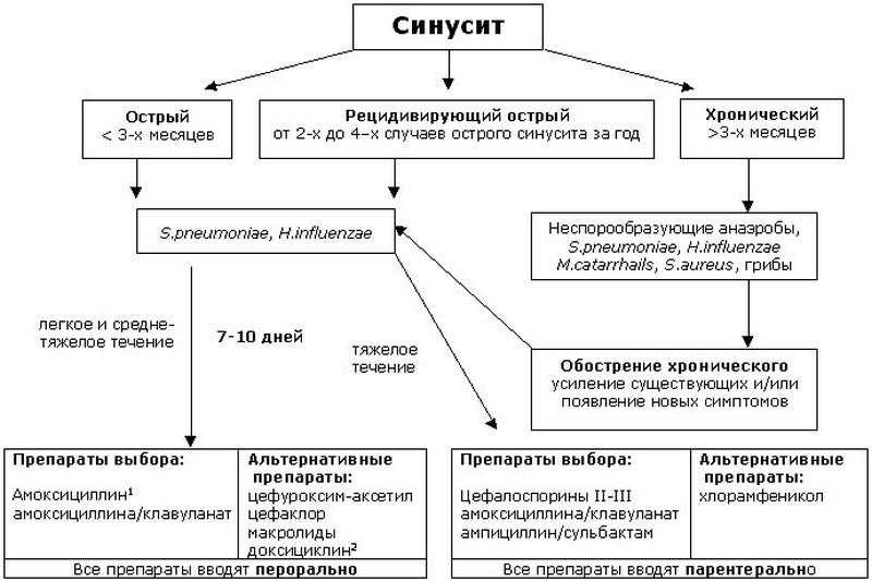 симптомы и лечение синусита у детей