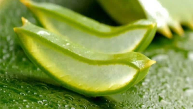 можно ли капать алоэ в нос ребенку