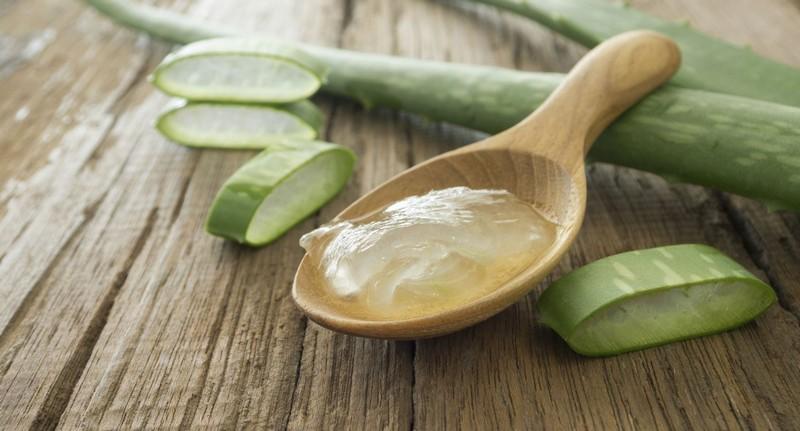 алоэ от насморка взрослым