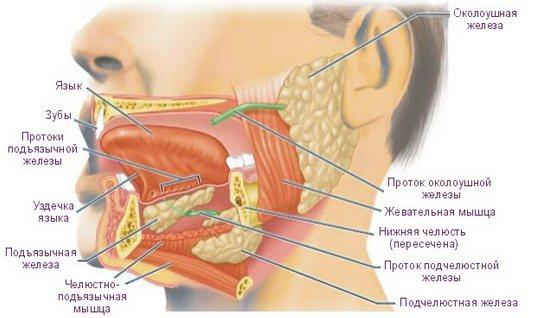 Почему болит при нажатии за ухом