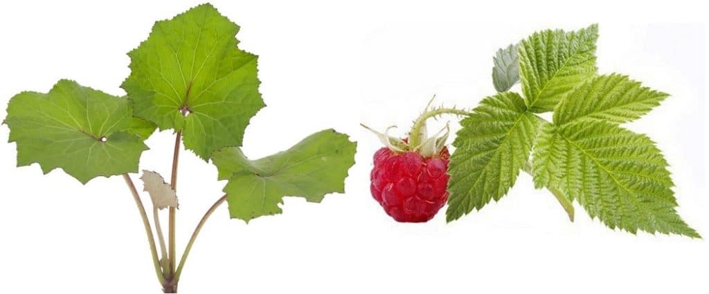 не восстанавливается голос после ларингита